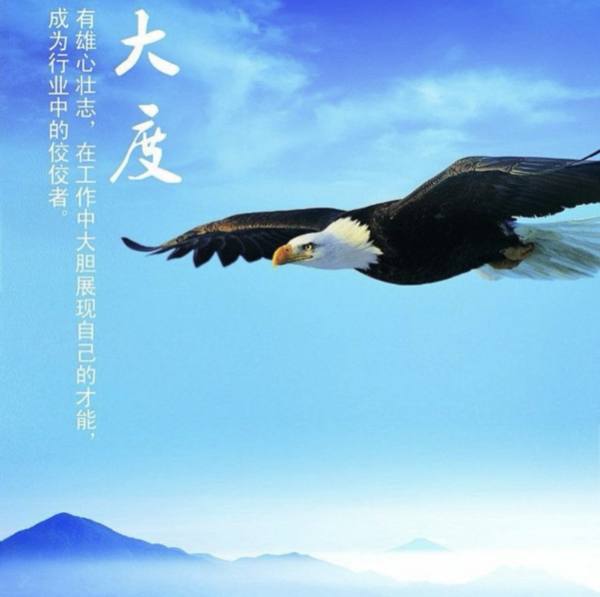 雄鹰丨诚邀代理